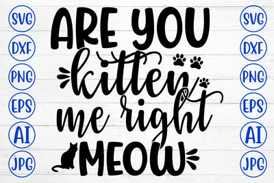 ARE YOU KITTEN ME RIGHT MEOW SVG Cut File SVG Syaman 