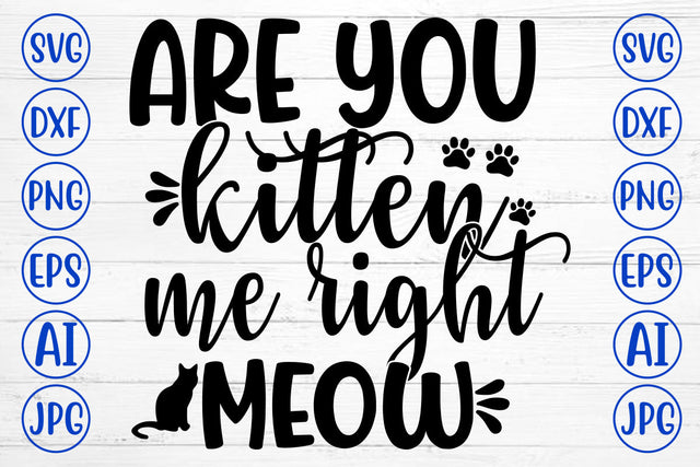 ARE YOU KITTEN ME RIGHT MEOW SVG Cut File SVG Syaman 