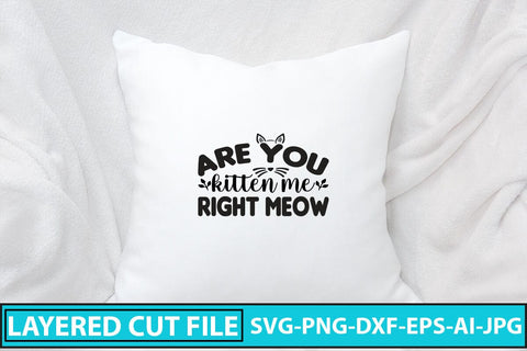 Are You Kitten Me Right Meow SVG Cut File SVG Syaman 