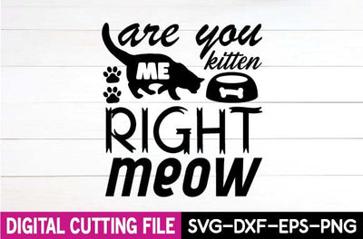 are you kitten me right meow svg SVG designer krishna 
