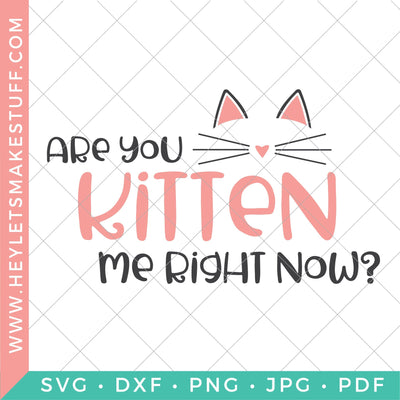 Are you Kitten Me Right Now? SVG Hey Let's Make Stuff 