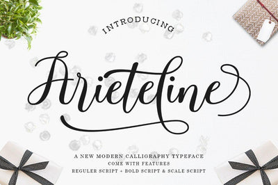 Arieteline Script Font Zane Studio55 