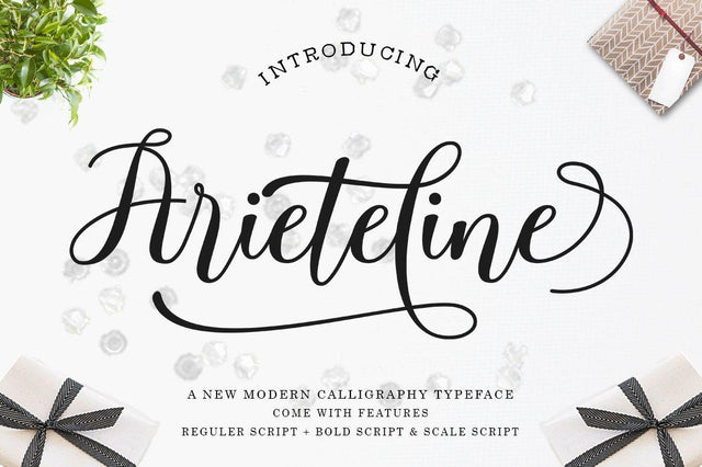 Arieteline Script Font Zane Studio55 