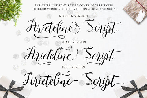 Arieteline Script Font Zane Studio55 