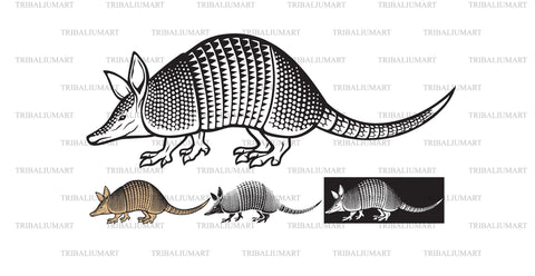 Armadillo animal SVG TribaliumArtSF 