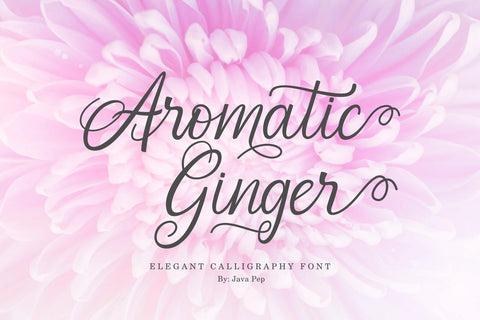 Aromatic Ginger Font Javapep 