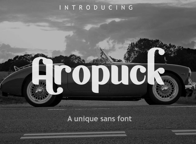 Aropuck Font Font Leamsign Studio 