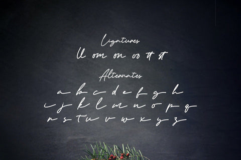 Artemay Bright - Signature Script Font Font StringLabs 