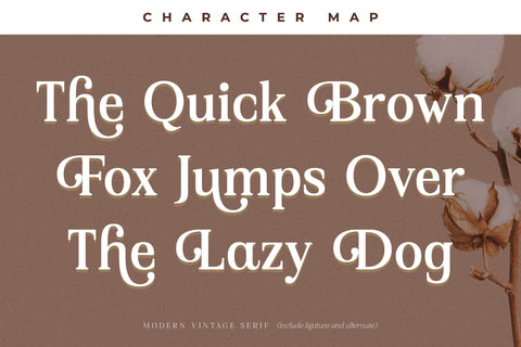 Asbela Eternity Typeface Font Storytype Studio 