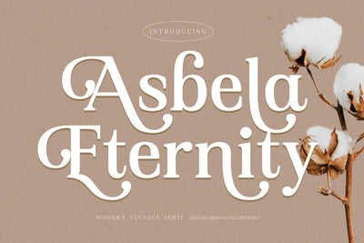 Asbela Eternity Typeface Font Storytype Studio 