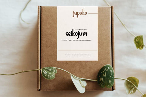 Asegunt Font twinletter 