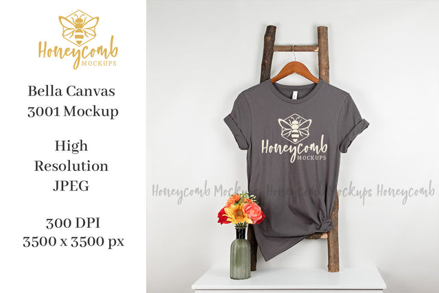 Asphalt Bella Canvas 3001 Mockup, Ladder Mockup, Hanging Mockup, Women's T-Shirt Mockup Mock Up Photo Honeycomb Mockups 