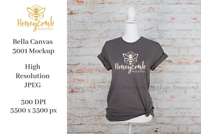 Asphalt Bella Canvas 3001 T-Shirt Mockup, Women's T-Shirt Mockup Mock Up Photo Honeycomb Mockups 