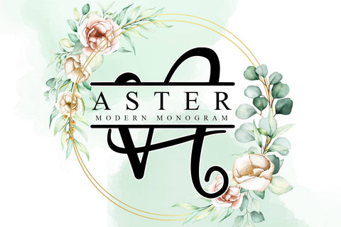 Aster Monogram Font Letterara 