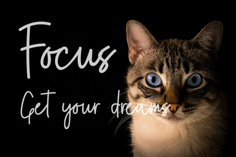 Astevy - Handwritten Script Font Font Balevgraph Studio 