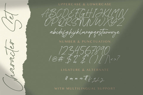 Asthacy Reny - Handwritten Font Font StringLabs 