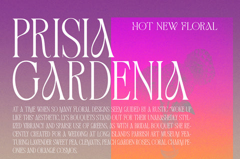 Astone Nouvea Font gatype 