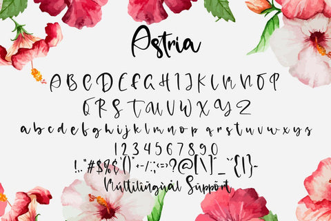 Astria Font Fallen Graphic Studio 