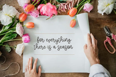 Astrologer - Handwritten Typefaces Font Youngtype 