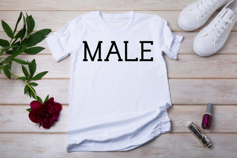 Aterline Slab Serif Font AEN Creative Store 