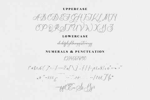 athena modern Luxury Script Font Font Storytype Studio 