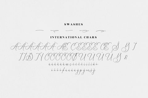 athena modern Luxury Script Font Font Storytype Studio 