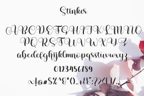 Athome Font letterbeary 