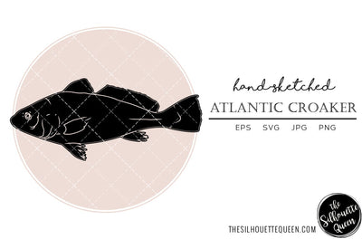 Atlantic Croaker Hand sketched, hand drawn vector clipart SVG Loveleen Kaur 