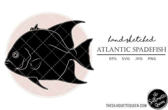 Atlantic Spadefish Hand sketched, hand drawn vector clipart SVG Loveleen Kaur 