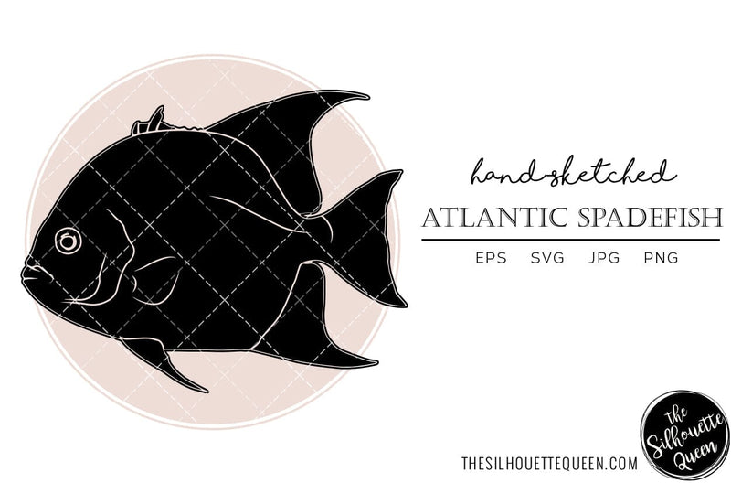 Spadefish Vector Atlantic Spadefish Hand sketched, hand drawn vector clipart - So Fontsy