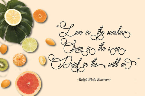 Audrena - Beautiful Monoline Font Font PutraCetol Studio 