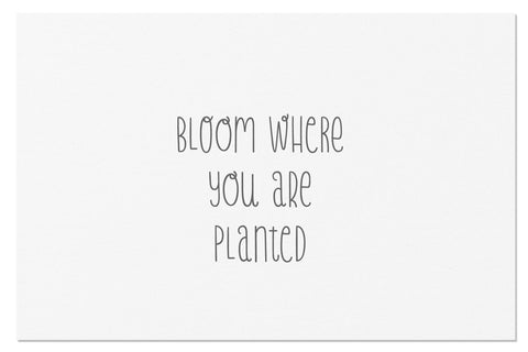 August Font Sunday Nomad 