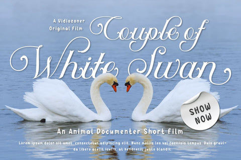 Auntha Clear | Script Font Font twinletter 