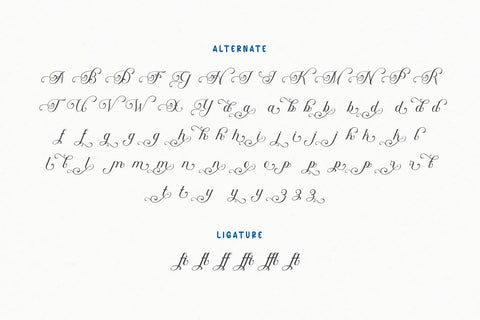 Auntha Clear | Script Font Font twinletter 