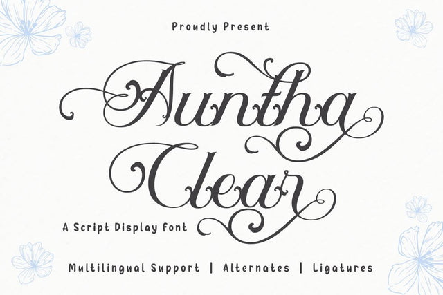 Auntha Clear | Script Font Font twinletter 