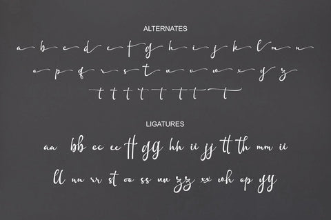 Aunther Signature Font Rotterlab studio 