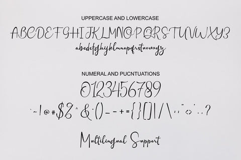 Aunther Signature Font Rotterlab studio 