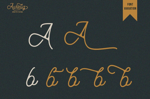 Aurelig Script Font Font Vultype Co 
