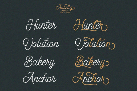 Aurelig Script Font Font Vultype Co 