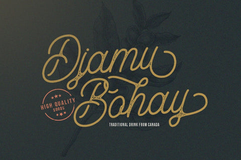 Aurelig Script Font Font Vultype Co 