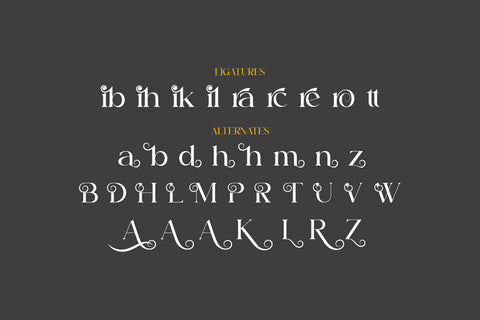 Aurora Typeface Font Storytype Studio 