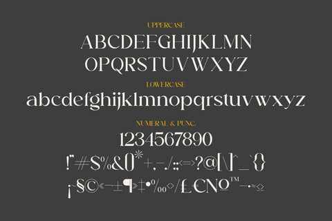 Aurora Typeface Font Storytype Studio 