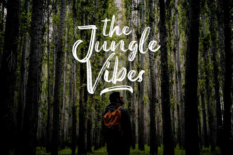 Austellia Font Garisman Studio 