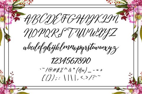 Austina Script Font Zane Studio55 