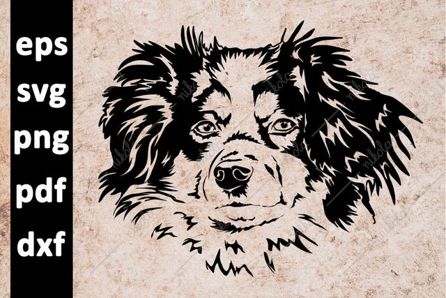 Australian Shepherd Dog Cut File Clipart PNG SVG EPS DXF PDF SVG nikola 