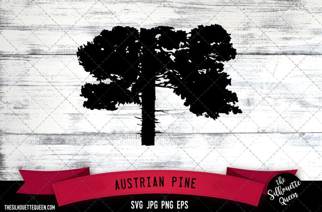 Austrian Pine 2 SVG -Vector Art Commercial & Personal Use- Cricut,Silhouette,Cameo,Vinyl Cut SVG Loveleen Kaur 
