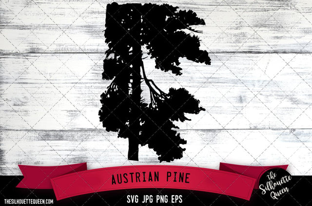 Austrian Pine SVG -Vector Art Commercial & Personal Use- Cricut,Silhouette,Cameo,Vinyl Cut SVG Loveleen Kaur 
