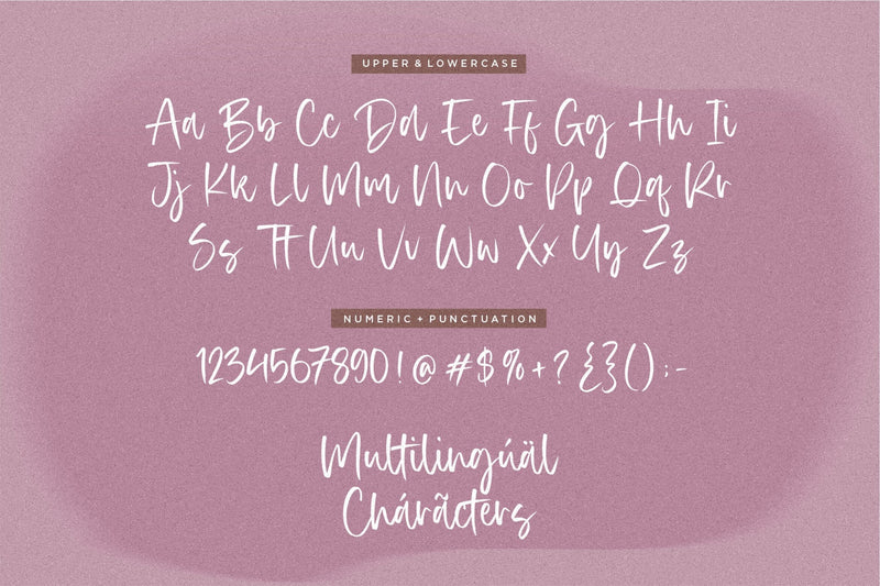 Authentica a Modern Calligraphy Font - So Fontsy