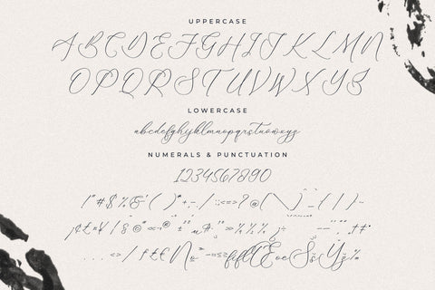 authentiue - Chic Calligraphy Font Font Storytype Studio 