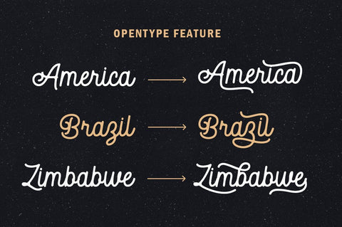 Autoguard Monoline Script Font Suby Studio 